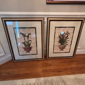 Framed Botanical Art Prints